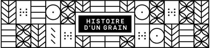 Histoire d'un grain